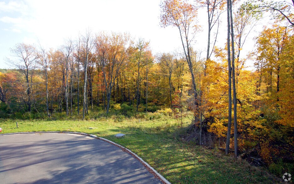 Lot 15 Lassy Ct, Terryville, CT 06786