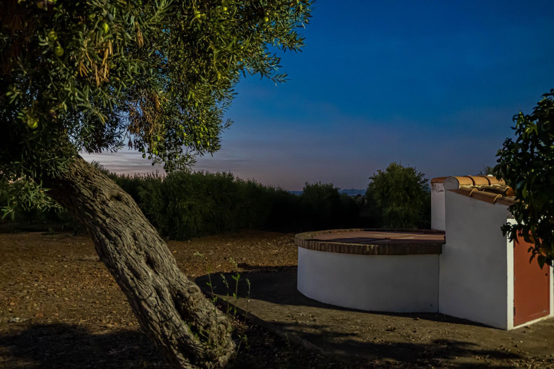 Land in Carmona, Sevilla for sale Building Photo- Image 1 of 61