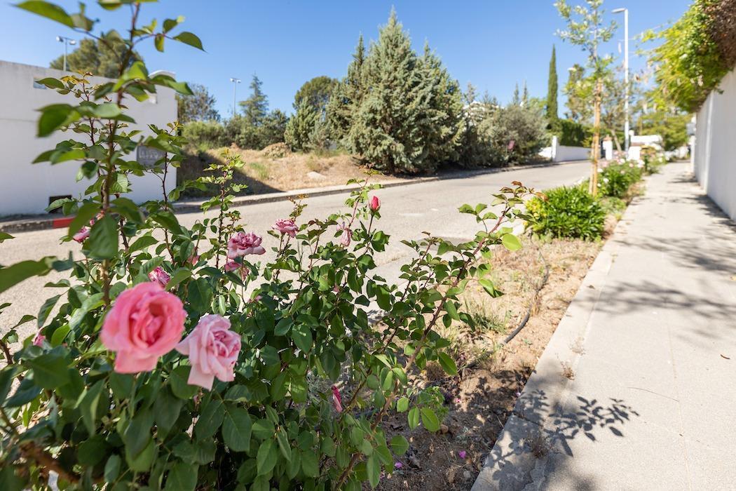 Land in Albolote, Granada for sale Building Photo- Image 1 of 32