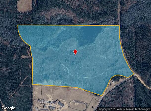 Rustin Rd, Reynolds, GA Parcel Map