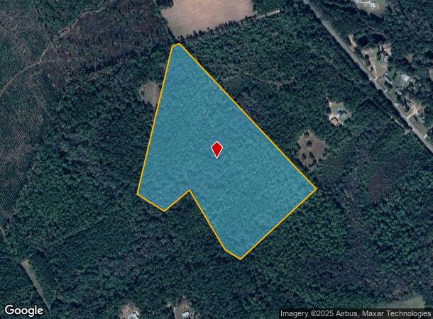 2890 Old Dixie Hwy S, Springfield, GA Parcel Map