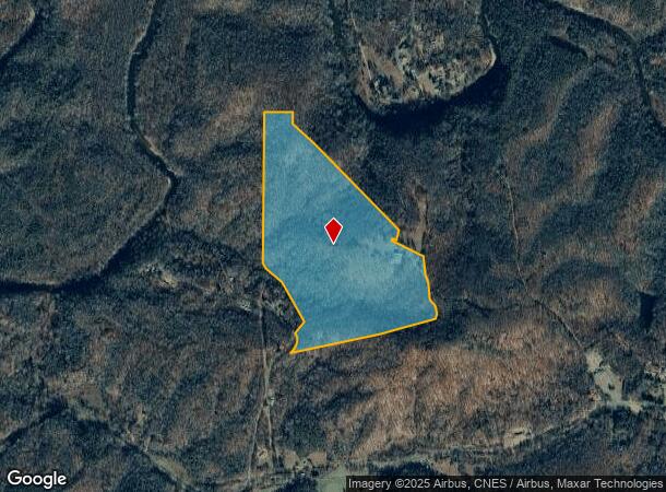  1215 Single Tree Rd, Westfield, NC Parcel Map