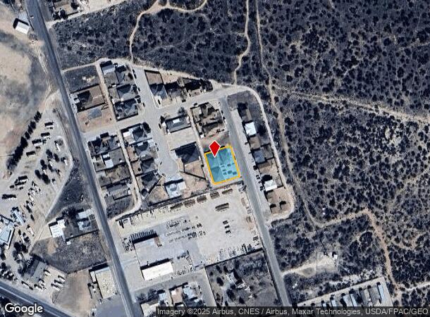  1309 N Carol Ave, Monahans, TX Parcel Map