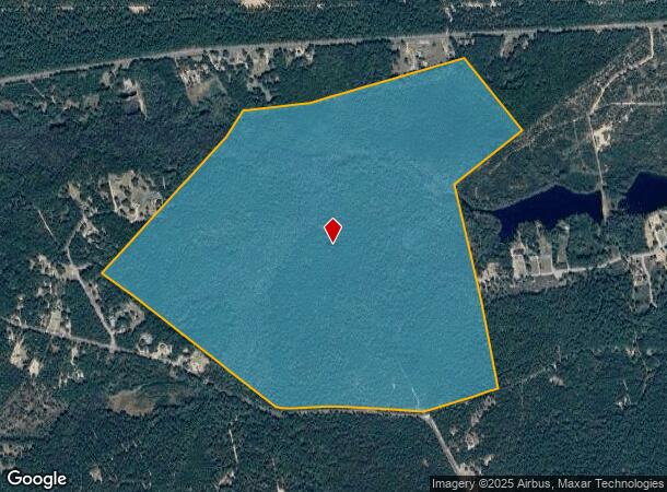 310.05 N S Old Leesburg Rd, Hopkins, SC Parcel Map