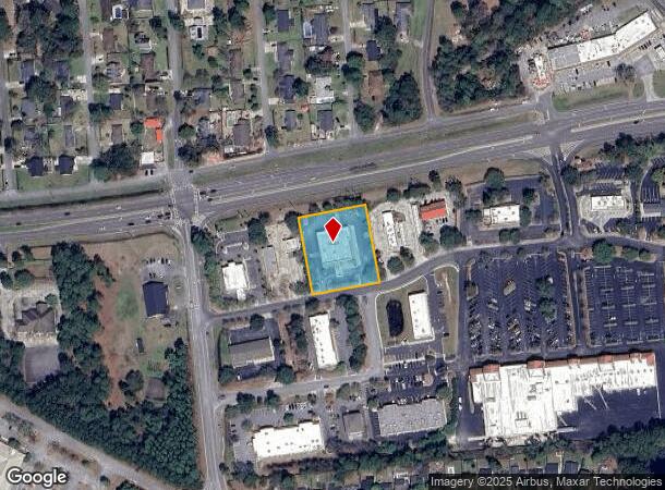 4685 Us Highway 80 E, Savannah, GA Parcel Map