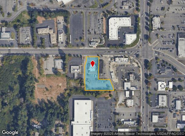  214 39Th Ave Sw, Puyallup, WA Parcel Map