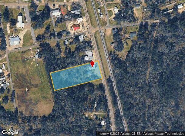  49447 Highway 51, Tickfaw, LA Parcel Map