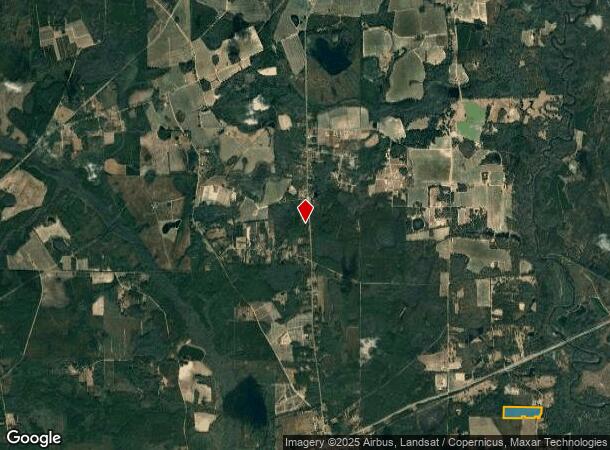  6350 Lake Alapaha Blvd, Naylor, GA Parcel Map