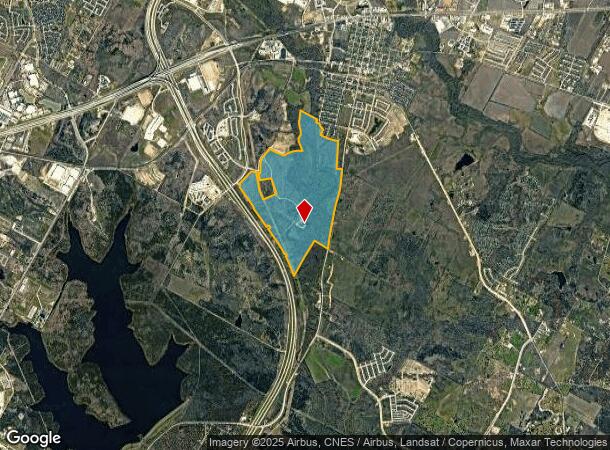 Blue Bluff Rd, Manor, TX Parcel Map