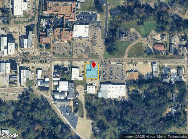 206 E Government St, Brandon, MS Parcel Map