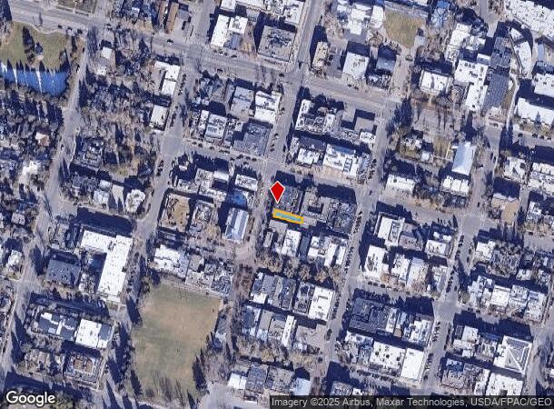  228 S Mill St, Aspen, CO Parcel Map