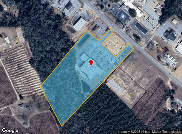 246 S Main St, Reidsville, GA Parcel Map