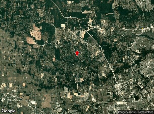  310 Old Egypt Rd, Magnolia, TX Parcel Map