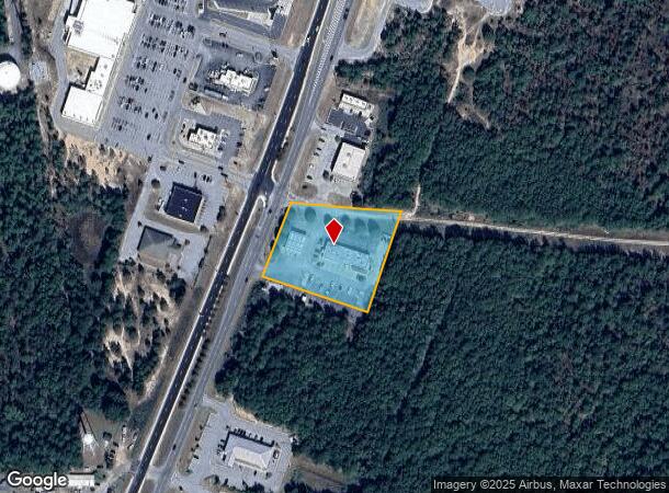 5221 Highway 321, Gaston, SC Parcel Map