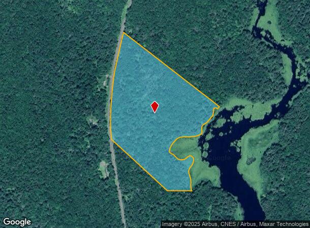 55 State St, Liberty, NY Parcel Map