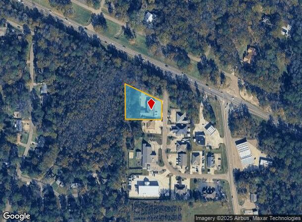 1000 Lake Village Cir, Brandon, MS Parcel Map