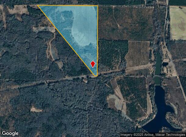 Crowell Rd, Reynolds, GA Parcel Map