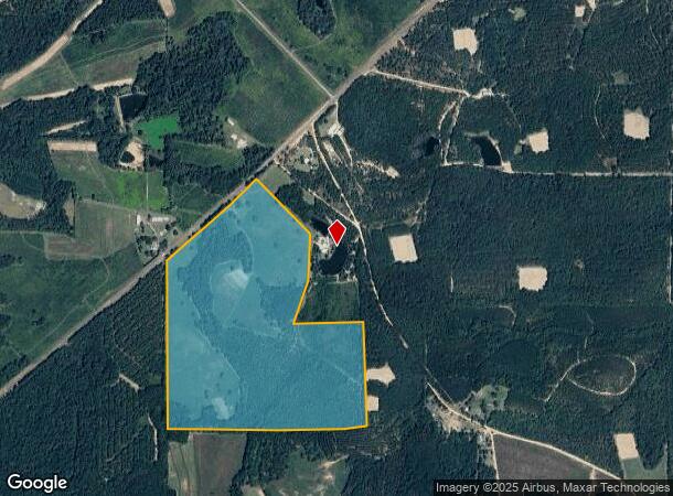  4952 Ga Highway 137 Rd E, Buena Vista, GA Parcel Map