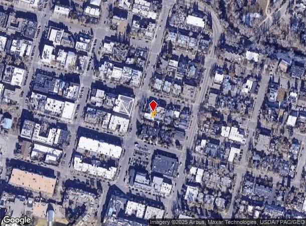  300 S Spring St, Aspen, CO Parcel Map