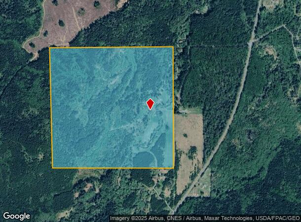  206 Lutkins Rd, Elbe, WA Parcel Map
