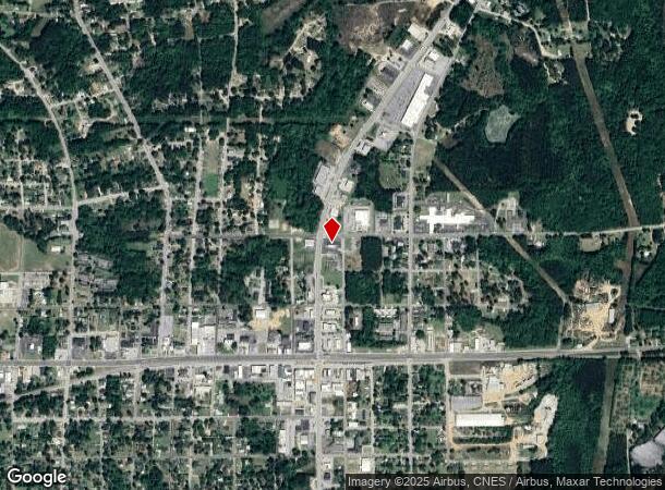  115 N Duval St, Claxton, GA Parcel Map