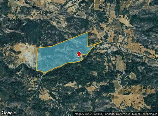  4100 Petrified Forest Rd, Calistoga, CA Parcel Map