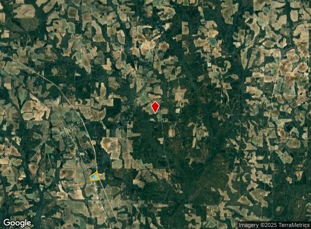  149 Midway Church Rd, Meigs, GA Parcel Map