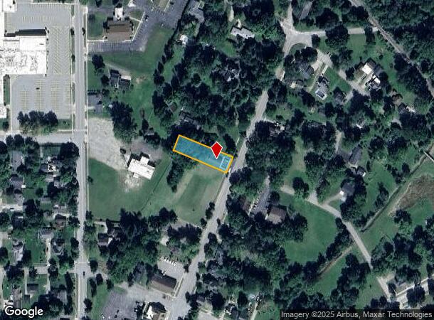  295 N Main St, Vassar, MI Parcel Map