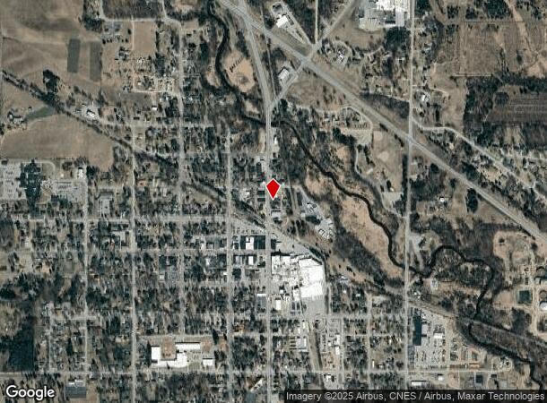  228 N Chestnut St, Reed City, MI Parcel Map