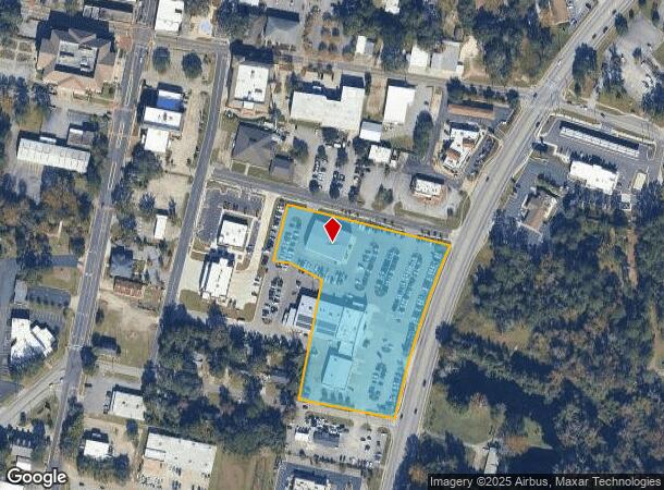  305 W Oglethorpe Hwy, Hinesville, GA Parcel Map