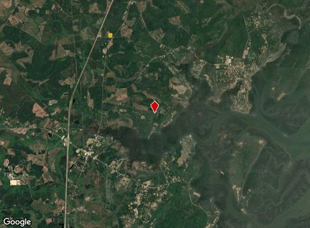 W S Highway 17, Townsend, GA Parcel Map