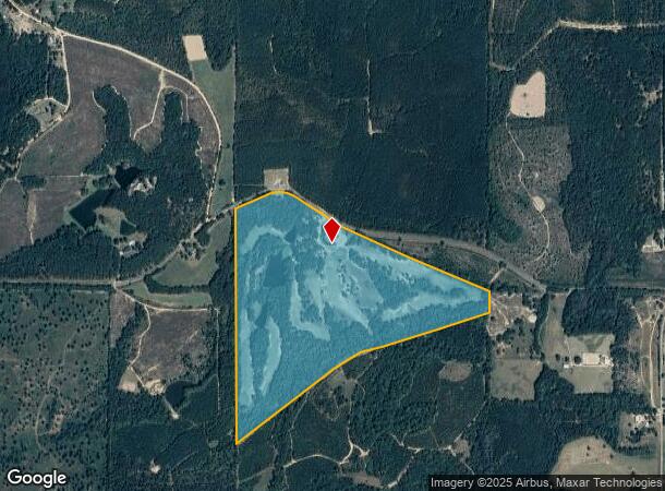 2876 Country Club Rd, Buena Vista, GA Parcel Map