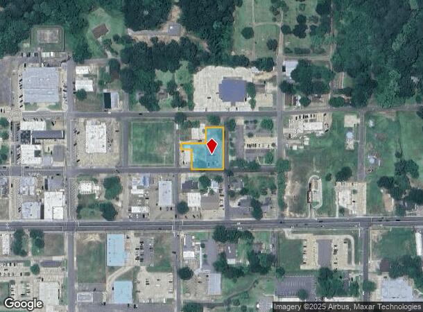 509 Texas St, Mansfield, LA Parcel Map