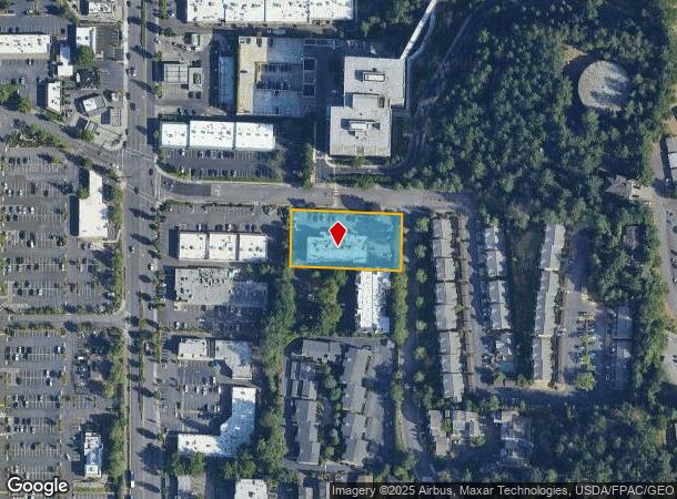  12917 Se 38Th St, Bellevue, WA Parcel Map