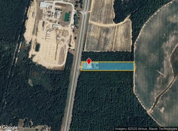 8420 Us Highway 19, Baconton, GA Parcel Map