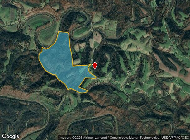 2889 Tea Run Rd, Ewing, KY Parcel Map