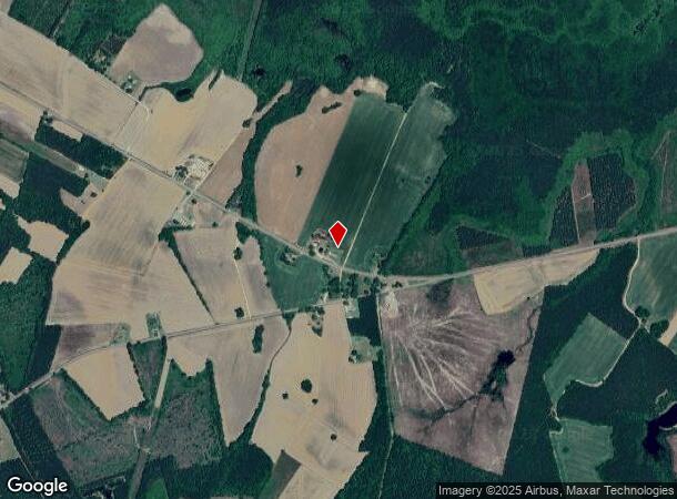  2061 Highway 917 W, Latta, SC Parcel Map