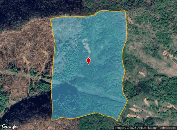 Silvers Gap Rd, Burnsville, NC Parcel Map
