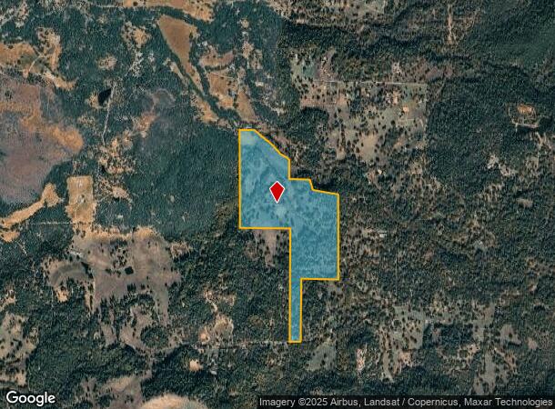 17057 Tyler Rd, Fiddletown, CA Parcel Map