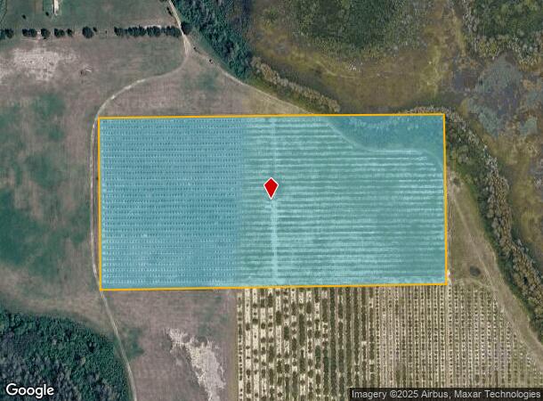 N Boggy Marsh Rd, Clermont, FL Parcel Map