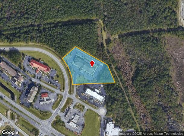  1 Yvette Johnson Hagins Dr, Savannah, GA Parcel Map