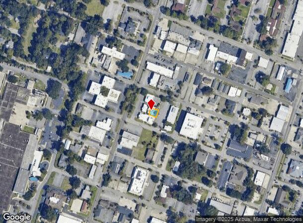  5102 Paulsen St, Savannah, GA Parcel Map