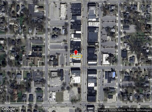 217 S Lafayette St, Greenville, MI Parcel Map