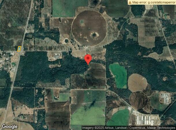  376 N Lester Rd, Baconton, GA Parcel Map