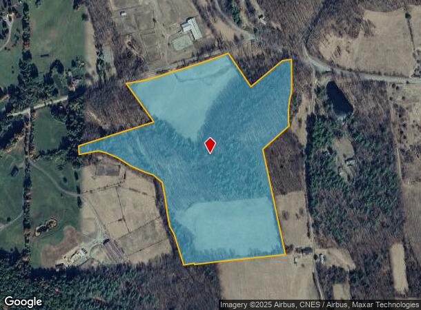 Thomas Rd, Old Chatham, NY Parcel Map