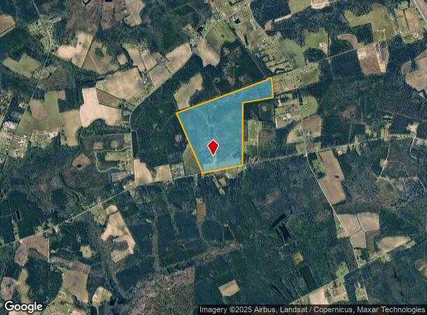 2417 E Effingham Hwy, Effingham, SC Parcel Map