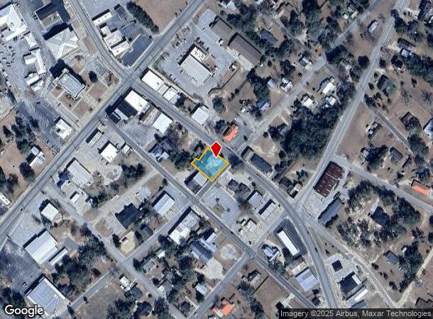 118 S Main St, Reidsville, GA Parcel Map