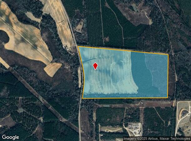 Dam Rd, Columbia, AL Parcel Map