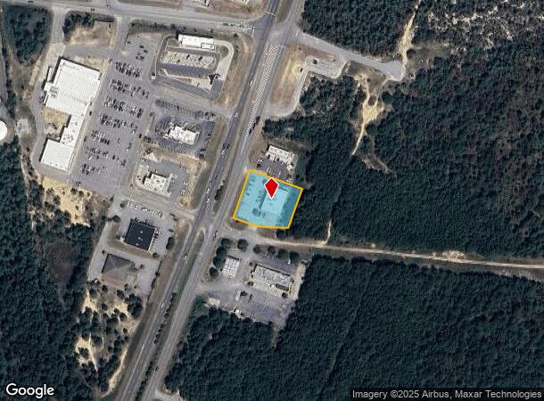 5211 Highway 321, Gaston, SC Parcel Map
