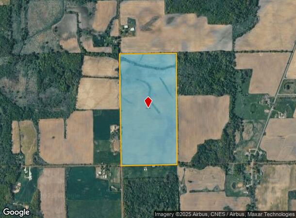  S Pease Rd, Bellevue, MI Parcel Map